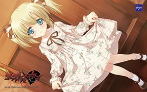 �p�\�R���V���b�vMK�l �e���z���J�[�h�i�I���W�i�����T�j