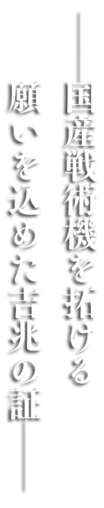 �\�\���Y��p�@��񂯂�肢�����߂��g���̏؁\�\